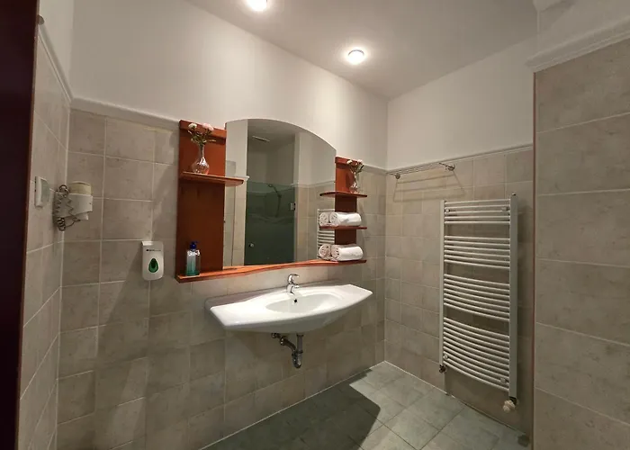 Wellness Oazis Apt, Nappali, 1halo, 4 Fo Daire Zalakaros